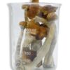 buy psilocybin mushrooms uk​